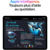 Apple iPad Air 13 Pouces (M4) : Écran Liquid Retina, 256 Go, Caméras Avant/arrière 12 MP, Wi‑FI 7 avec Apple N1, Touch ID, Auton