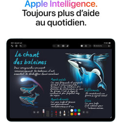 Apple iPad Air 13 Pouces (M4) : Écran Liquid Retina, 1 to, Caméras Avant/arrière 12 MP, Wi‑FI 7 avec Apple N1, Touch ID, Autonom