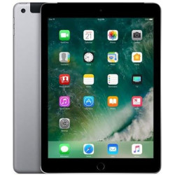 Apple iPad 9.7 (5e Génération) 32Go Wi-Fi + Cellular - Gris Sidéral - Débloqué (Reconditionné)