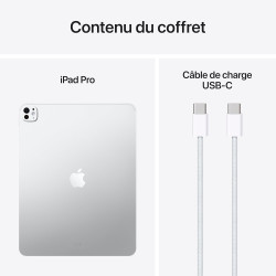 Apple iPad Pro 13 Pouces (M5) : Écran Ultra Retina XDR Verre Standard, 512 Go, Caméra Avant Horizontale 12 MP/Caméra arrière 12 