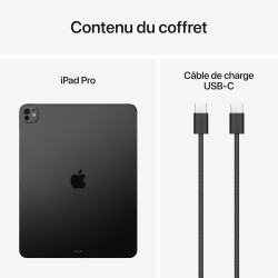 Apple iPad Pro 13 Pouces (M5) : Écran Ultra Retina XDR Verre Standard, 1 to, Caméra Avant Horizontale 12 MP/Caméra arrière 12 MP