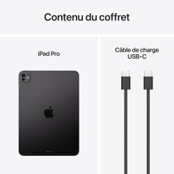 Apple iPad Pro 11 Pouces (M5) : Écran Ultra Retina XDR, 2 to, Caméra Avant Horizontale 12 MP/Caméra arrière 12 MP, Wi-FI + 5G, A