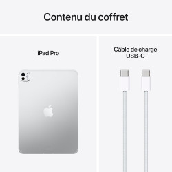 Apple iPad Pro 11 Pouces (M5) : Écran Ultra Retina XDR Verre Nano-texturé, 2 to, Caméra Avant Horizontale 12 MP/Caméra arrière 1