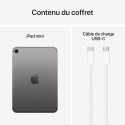 Apple iPad Mini (A17 Pro) : Écran Liquid Retina 8,3 Pouces, 128 Go, Wi-FI 6E et connectivité cellulaire 5G, caméras Avant/arrièr