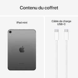 Apple iPad Mini (A17 Pro) : Écran Liquid Retina 8,3 Pouces, 512 Go, Wi-FI 6E et connectivité cellulaire 5G, caméras Avant/arrièr