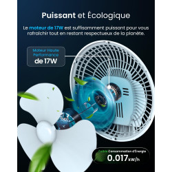 Pro Breeze Mini Ventilateur à Pince - 2 Vitesses, 15 cm - Ventilateur de Table avec Clip, Petit, Portable, Silencieux, Rotation 