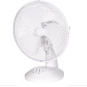 Russell Hobbs Rhpdf0921 Ventilateur De Bureau Portable 22.9 Cm, 2 Vitesses, Oscillation Grand Angle, Fonctionnement Silencieux, 