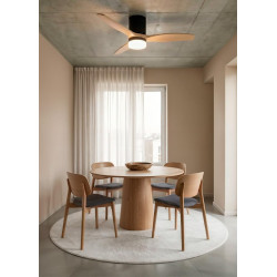 CREATE WINDCALM S Ventilateur de plafond ABS avec lumière noire, pales effet bois clair avec télécommande, 40 W, silencieux, Ø11