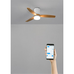 CREATE / WINDCALM S/Ventilateur de plafond ABS avec lumière blanc, pales effet bois clair, Wifi et télécommande / 40W, Silencieu