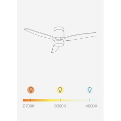CREATE WINDCALM S Ventilateur de plafond ABS avec lumière, pales noires effet bois clair avec contrôleur et télécommande, 40 W, 