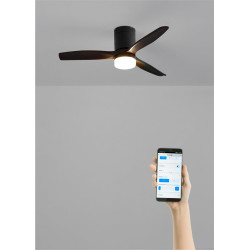 CREATE / WINDCALM S/Ventilateur de plafond ABS avec lumière noir avec Wifi et télécommande / 40W, Silencieux, Ø112 cm, 6 vitesse