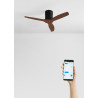 CREATE WINDCALM S Ventilateur de plafond ABS noir, pales effet bois foncé avec Wifi et télécommande, 40 W, silencieux, Ø112 cm, 