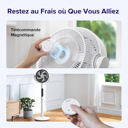 LEVOIT Ventilateur sur Pied 20 dB Silencieux, Puissant 2465 m³/h, Flux d'air 7.5 m/s, avec Télécommande, Oscillant 90°+120°,4 Mo