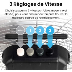 Pro Breeze Ventilateur de Sol 30,5 cm – 50W, 3 Vitesses, Tête Inclinable, Pales Inox, Brasseur d'Air Puissant pour Chambre, Salo