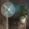 Cecotec Ventilateur sur pied EnergySilence 610 Steelstyle. 50 W, finition acier, 16" de diamètre avec 4 pales, 3 vitesses, oscil