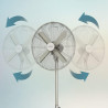 Cecotec Ventilateur sur pied EnergySilence 610 Steelstyle. 50 W, finition acier, 16" de diamètre avec 4 pales, 3 vitesses, oscil