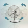 Cecotec Ventilateur de bureau EnergySilence 610 SteelDesk avec 40 W et finition acier, 12 pouces, 3 vitesses, oscillation, silen