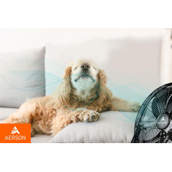 TRESKO AERSON Ventilateur de Sol 60 cm | Ventilateur sur Pied 200W | avec 3 niveaux de puissance | Débit d'air élevé | Construct