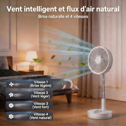 LBSTP Ventilateur sur Pied 22 dB Silencieux, 8" pliable avec télécommande, batterie 8000 mAh, USB, 4 vitesses,Oscillant 180°+60°