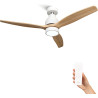 Mellerware - Ventilateur de plafond avec télécommande Brizy! Bright 45W | Lampe puissante | Ultra silencieux | 3 lames | Diamètr