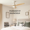 Mellerware - Ventilateur de plafond avec télécommande Brizy! Bright 45W | Lampe puissante | Ultra silencieux | 3 lames | Diamètr
