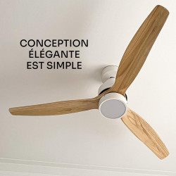 Mellerware - Ventilateur de plafond avec télécommande Brizy! Bright 45W | Lampe puissante | Ultra silencieux | 3 lames | Diamètr