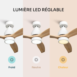 Mellerware - Ventilateur de plafond avec télécommande Brizy! Bright 45W | Lampe puissante | Ultra silencieux | 3 lames | Diamètr