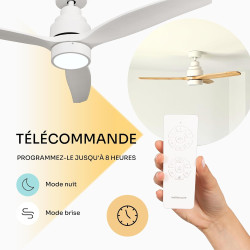 Mellerware - Ventilateur de plafond avec télécommande Brizy! Bright 45W | Lampe puissante | Ultra silencieux | 3 lames | Diamètr