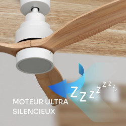 Mellerware - Ventilateur de plafond avec télécommande Brizy! Bright 45W | Lampe puissante | Ultra silencieux | 3 lames | Diamètr