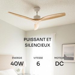 Mellerware - Ventilateur de plafond avec télécommande Brizy! 45W | Puissant | Ultra silencieux | 3 lames | Diamètre 132cm | 6 vi