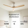 Mellerware - Ventilateur de plafond avec télécommande Brizy! 45W | Puissant | Ultra silencieux | 3 lames | Diamètre 132cm | 6 vi