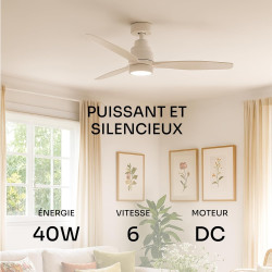 Mellerware - Ventilateur de plafond avec télécommande Brizy! Bright 45W | Lampe puissante | Ultra silencieux | 3 lames | Diamètr