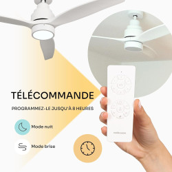 Mellerware - Ventilateur de plafond avec télécommande Brizy! Bright 45W | Lampe puissante | Ultra silencieux | 3 lames | Diamètr