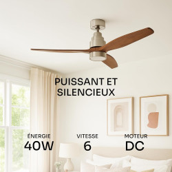 Mellerware - Ventilateur de plafond avec télécommande Brizy! Bright 45W | Lampe puissante | Ultra silencieux | 3 lames | Diamètr
