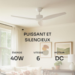 Mellerware - Ventilateur de plafond avec télécommande Brizy! 45W | Puissant | Ultra silencieux | 3 lames | Diamètre 132cm | 6 vi