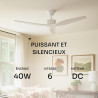 Mellerware - Ventilateur de plafond avec télécommande Brizy! 45W | Puissant | Ultra silencieux | 3 lames | Diamètre 132cm | 6 vi