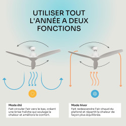 Mellerware - Ventilateur de plafond avec télécommande Brizy! 45W | Puissant | Ultra silencieux | 3 lames | Diamètre 132cm | 6 vi