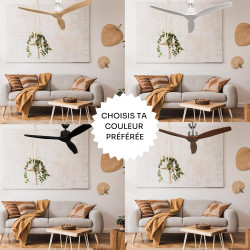 Mellerware - Ventilateur de plafond avec télécommande Brizy! 45W | Puissant | Ultra silencieux | 3 lames | Diamètre 132cm | 6 vi