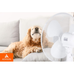 TRESKO AERSON Ventilateur sur pied 40 cm | Ventilateur réglable en hauteur jusqu'à 120 cm | Débit d'air élevé et très silencieux