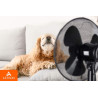 AERSON Ventilateur sur pied 40 cm | Ventilateur réglable en hauteur jusqu'à 120 cm | Débit d'air élevé et très silencieux | Éoli