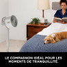 Shark FlexBreeze Pro Mist Ventilateur intérieur/extérieur sans fil, Brumisateur portable, Portée 20 m, Sur pied ou de table, 5 v