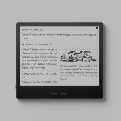BOOX Go 7 ePapier Tablette 7" N/B 64 Go 300 ppi Android 13 Frontlicht BT WiFi (Noir)