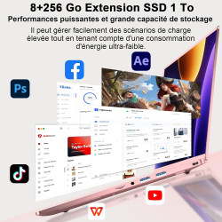 Ordinateur Portable 14 Pouces Celeron N5095 Win11 Pro 8Go RAM 256Go SSD Extension1To 5G WiFi 1920x1080 FHD PC Portable avec Sour