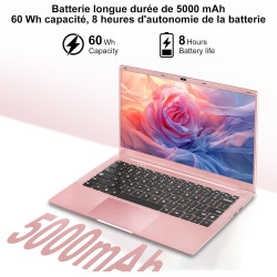 Ordinateur Portable 14 Pouces Celeron N5095 Win11 Pro 8Go RAM 256Go SSD Extension1To 5G WiFi 1920x1080 FHD PC Portable avec Sour