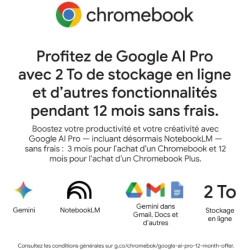 acer Chromebook Plus 514 I PC Portable 14" LCD| Intel Core 3 N355 | 8 Go RAM | 128 Go eMMC | ChromeOS I Clavier FR AZERTY I Gris