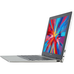Toshiba Dynabook K50 Ordinateur Portable Tactile 2-en-1, 10,1 Pouces (1280 x 800), Intel Celeron N4020, 4 Go de RAM, 64 Go eMMC,