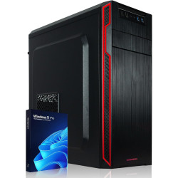 Greed® Basic V2 PC avec AMD Ryzen 5 4600G - Desktop Rapide + Ordinateur de Bureau à Domicile avec 4,2 GHz, 8 Go RAM/RAM - 256 Go