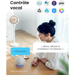 SwitchBot Ventilateur sur pied oscillant, éclairage RGB, 22 dB ultra-silencieux, télécommande, compatible Matter via Hub, débit 