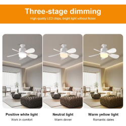 Ventilateur de Plafond avec Lumière et Telecommande, E27/E26 Lampe de Ventilateur LED Dimmable Plafonnier Timing, 5 Pales, Silen