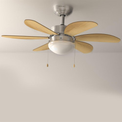 Cecotec Ventilateur de Plafond avec Lumière EnergySilence Aero 350 50 W, Basse Consommation, Diamètre 81 cm, 6 Pales Réversibles